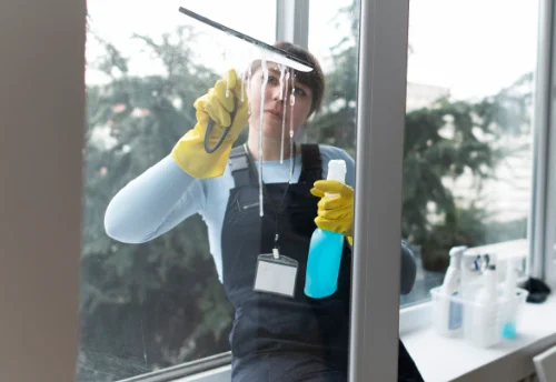 Nettoyage de vitres intérieures et extérieures à Vijon